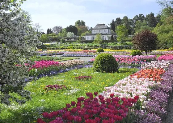 Schmuckhof des Botanischen Gartens